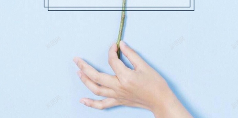 清新花卉日历H5背景jpg设计背景_新图网 https://ixintu.com 12月 H5 h5 十二月 小清新 彩色 文艺 日历 月份 清新 简约 花卉