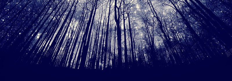 星光森林背景jpg设计背景_新图网 https://ixintu.com 横幅背景 天空 星星 森林 深蓝 全屏banner背景 海报banner 摄影 风景