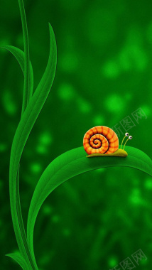 清新蜗牛绿色H5背景背景