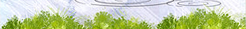 春天小清新柳条春雨背景图psd设计背景_新图网 https://ixintu.com 小清新 春天 春雨 柳条 树叶 海报 温暖 素材 背景图 雨水