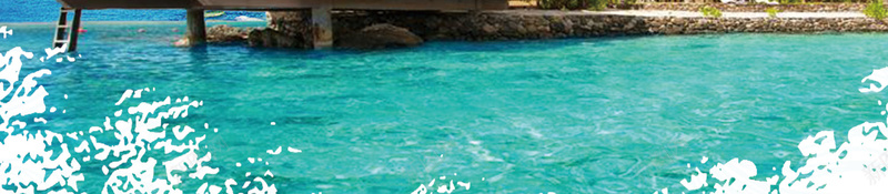 春季旅行蓝色清新海南旅行风景背景jpg设计背景_新图网 https://ixintu.com 春季旅行 蓝色 清新 海南旅行 风景 海岛背景 椰树 热气球 大海 海岛旅行