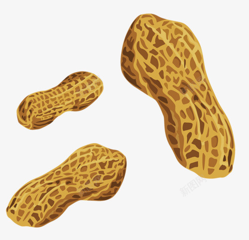 花生壳png免抠素材_新图网 https://ixintu.com 美味 花生 食物