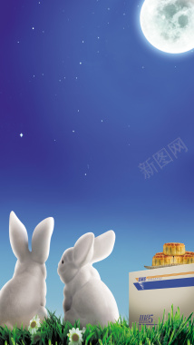 中秋节玉兔月饼海报背景背景