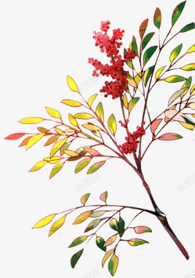 手绘红色小花绿叶树枝png免抠素材_新图网 https://ixintu.com 树枝 红色 绿叶