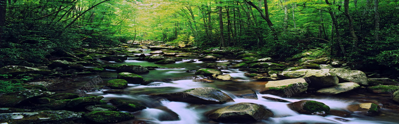 森林溪流背景jpg设计背景_新图网 https://ixintu.com 森林 溪流 海报banner 摄影 风景
