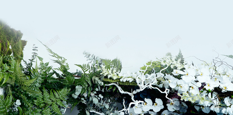 植物背景的H5图片jpg设计背景_新图网 https://ixintu.com h5背景 构成图片 构成 海报 花 H5 蓝色 植物
