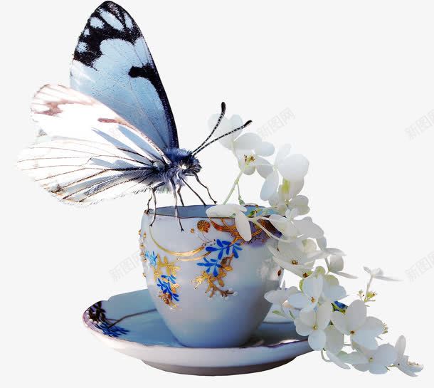 超唯美蝴蝶杯子花png免抠素材_新图网 https://ixintu.com 杯子 花 蝴蝶 超唯美