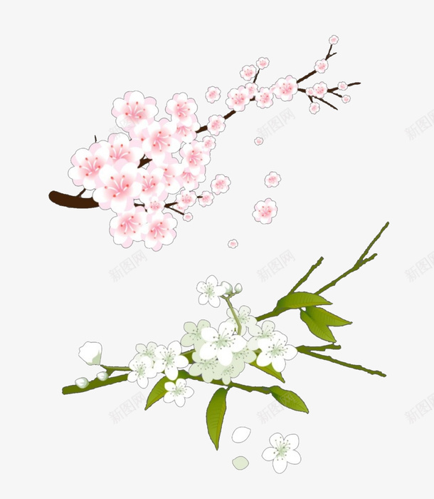 卡通手绘粉色桃花和白色桃花psd免抠素材_新图网 https://ixintu.com 卡通桃枝 卡通桃树 桃叶 桃枝 桃树 白色桃花 粉色桃花
