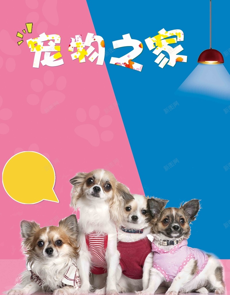 宠物之家宠物店猫狗卡通海报jpg设计背景_新图网 https://ixintu.com 宠物买卖 宠物交易 宠物海报 宠物美容 宠物店 宠物医院 宠物狗 宠物猫