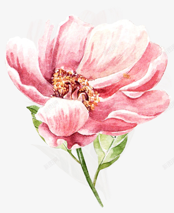 粉色手绘的花朵装饰png免抠素材_新图网 https://ixintu.com 叶子 手绘花朵 粉色花朵 绿叶 花卉 花朵 花朵装饰