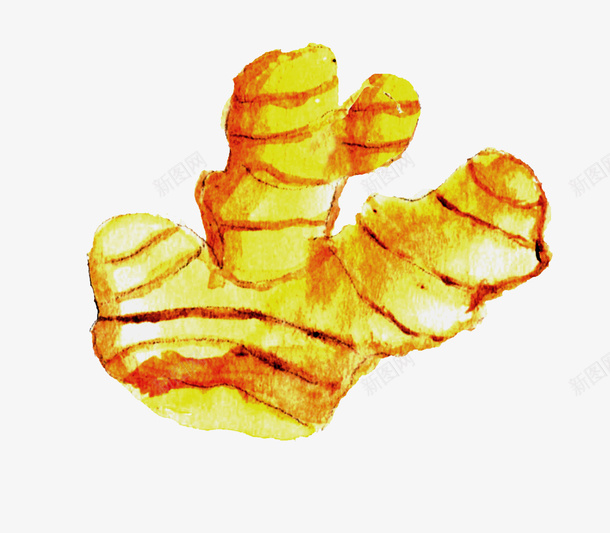 卡通手绘蔬菜装饰海报png免抠素材_新图网 https://ixintu.com 卡通植物插画 卡通装饰 小清新插画 广告设计 海报设计 生姜 美食 蔬菜 蔬菜插画