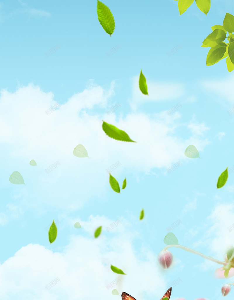 女装H5背景jpg设计背景_新图网 https://ixintu.com H5 H5背景 h5 女装 小清新 彩色 文艺 简约 绿叶 花卉 蝴蝶