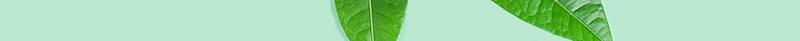 有茶生活更美好茶文化茶叶绿色清新海报模板psd设计背景_新图网 https://ixintu.com 海报 清新 绿色 美好 茶叶 茶文化 简约 节日 活动 促销 宣传