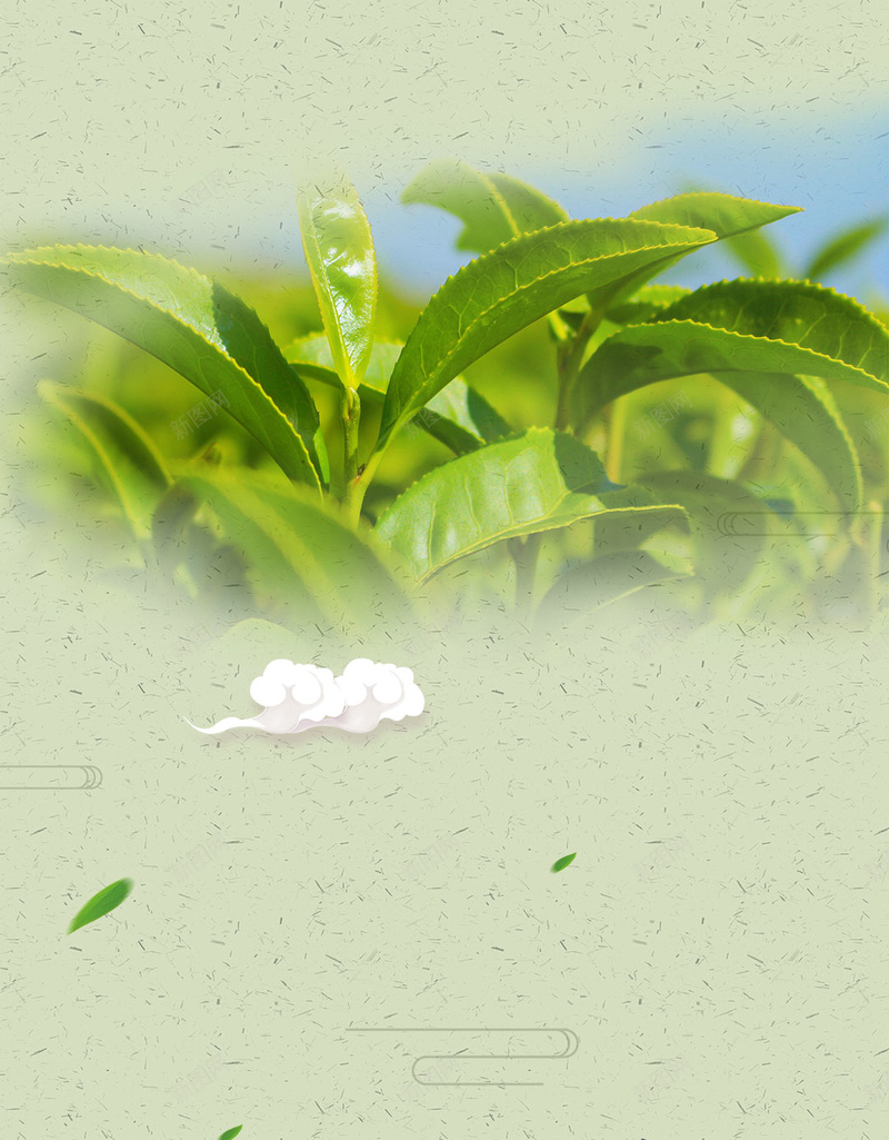 新茶上市茶叶宣传单秋茶H5背景psd设计背景_新图网 https://ixintu.com 中国风茶叶 促销H5背景素材 宣传单 新茶上市 秋茶上市 绿色 茶叶