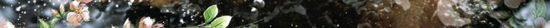 美味炸排骨背景素材psd设计背景_新图网 https://ixintu.com 吃货节 海报 矢量 美味 背景 炸排骨 美食节 素材