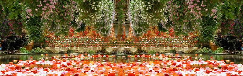 花海餐厅背景jpg设计背景_新图网 https://ixintu.com 小花背景 桌椅背景 绿化背景 花海背景 餐厅背景 风景背景 花朵背景 海报banner 摄影 风景