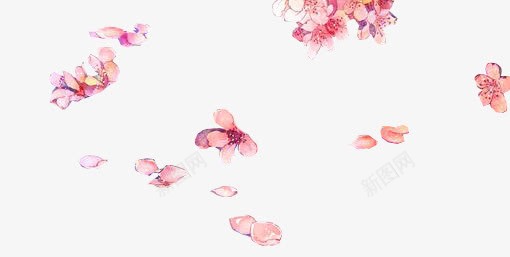 手绘白色花瓣png免抠素材_新图网 https://ixintu.com 手绘白色花瓣