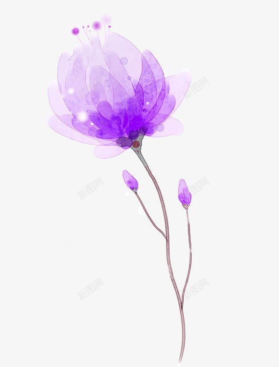 紫色鲜花手绘png免抠素材_新图网 https://ixintu.com 免抠花束 手绘 植物 紫色 装饰图案 鲜花