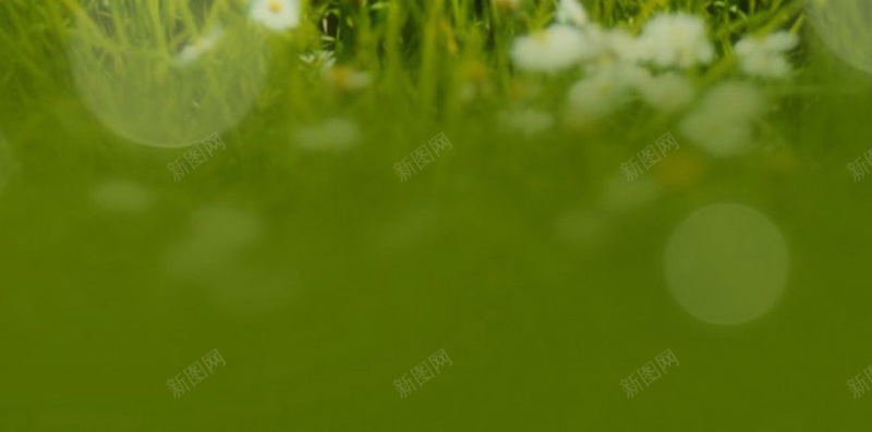 清新花卉兔子H5背景jpg设计背景_新图网 https://ixintu.com H5 h5 兔子 兔耳朵 小清新 文艺 清新 简约 绿色 花卉 萌宠