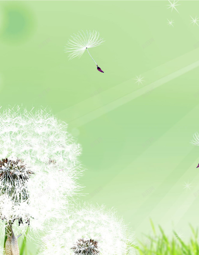 蒲公英根上的蜗牛jpg设计背景_新图网 https://ixintu.com H5素材 动物 小清新 开心 快乐 文艺 清新 简约 绿色背景 蒲公英 蜗牛