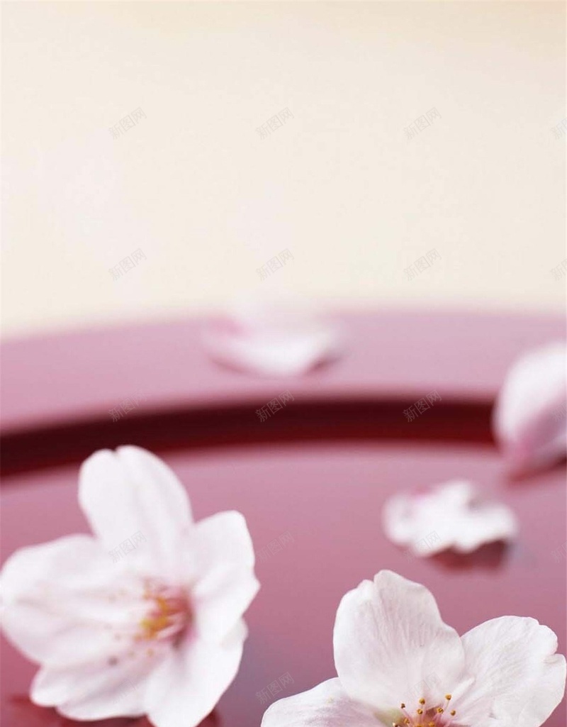 小清新粉色H5背景jpg设计背景_新图网 https://ixintu.com 花 唯美 浪漫 粉色 摄影 H5 h5 风景