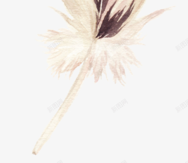 手绘水彩花环花卉叶子羽毛png免抠素材_新图网 https://ixintu.com 1 手绘 水彩 羽毛 花环
