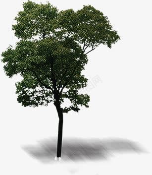 环境渲染效果绿色草本树木png免抠素材_新图网 https://ixintu.com 效果 树木 渲染 环境 绿色 草本