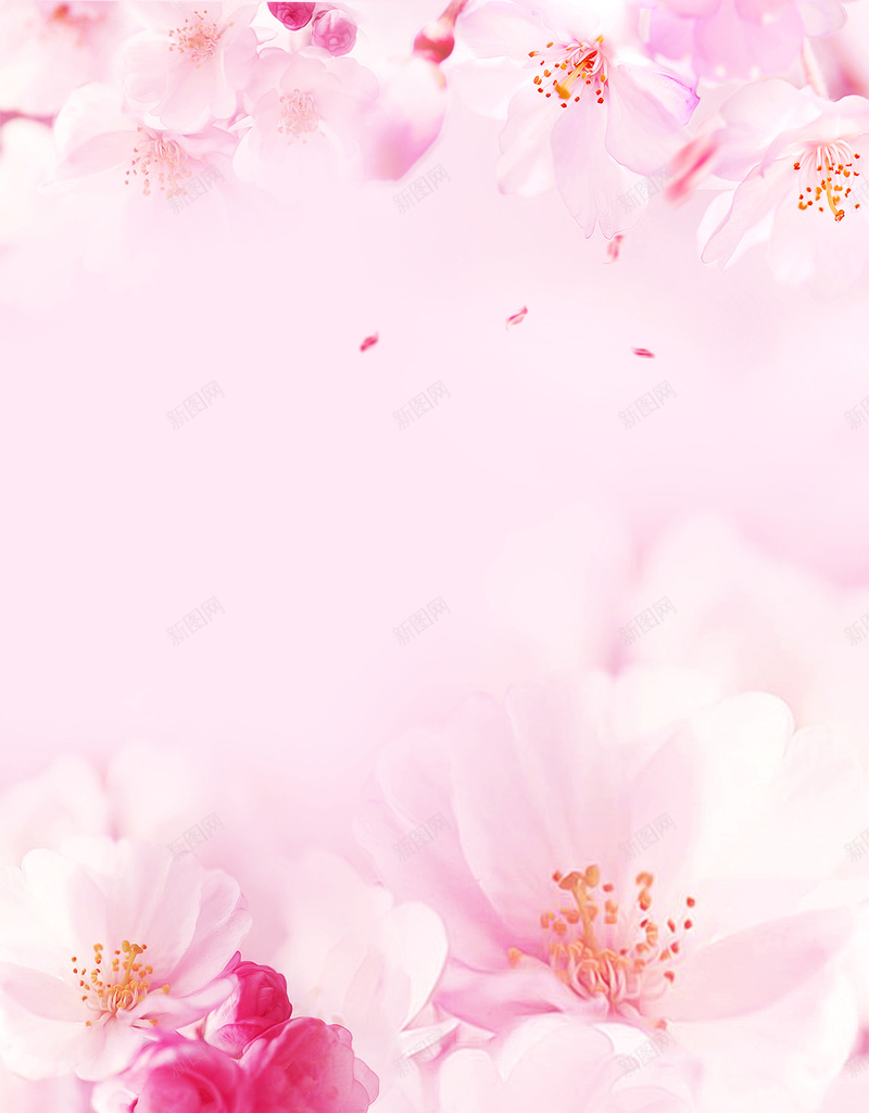粉色清新浪漫桃花美妆背景psd设计背景_新图网 https://ixintu.com 唯美 桃花 桃花节 浪漫 清新 简约 粉色 美妆背景