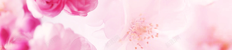粉色清新浪漫桃花美妆背景psd设计背景_新图网 https://ixintu.com 唯美 桃花 桃花节 浪漫 清新 简约 粉色 美妆背景