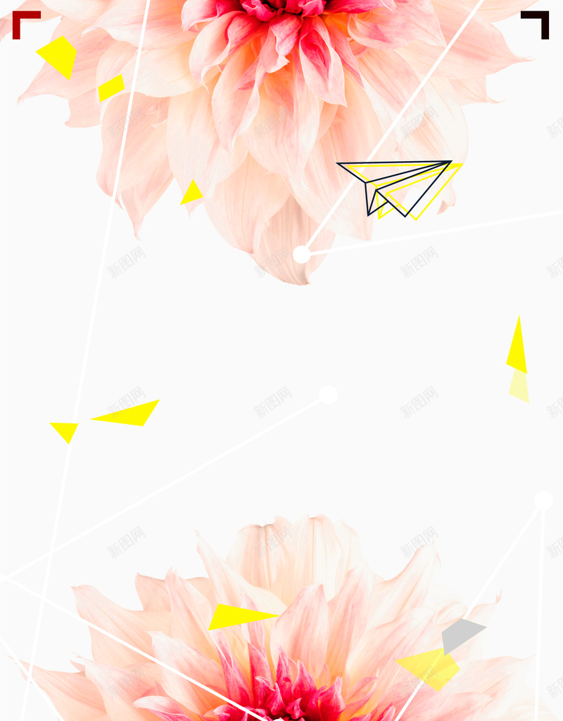 水彩花朵背景psd设计背景_新图网 https://ixintu.com 小清新 彩妆 护肤品 文艺 水彩花朵背景 白色 简约 纸飞机