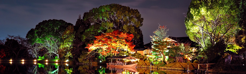 树木夜景摄影背景jpg_新图网 https://ixintu.com 树木 夜景 摄影 灯光 别墅 海报banner 风景