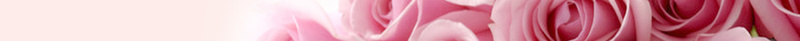 三八妇女节玫瑰海报背景素材jpg设计背景_新图网 https://ixintu.com 38女王节 38妇女节宣传 三八妇女节展板 三八易拉宝 女人节 展板 晚会 母亲节 海报 粉色玫瑰 舞台 节日素材 花朵