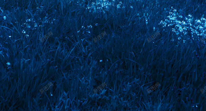 大气蓝色质感明月地产背景素材jpg设计背景_新图网 https://ixintu.com 地产 大气 明月 蓝色 质感 背景 素材 树木 天空 深蓝 犹豫
