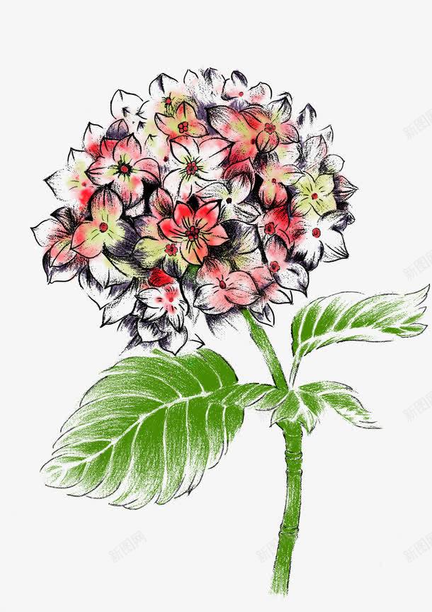 创意合成花卉植物花朵效果png免抠素材_新图网 https://ixintu.com 创意 合成 效果 植物 花卉 花朵