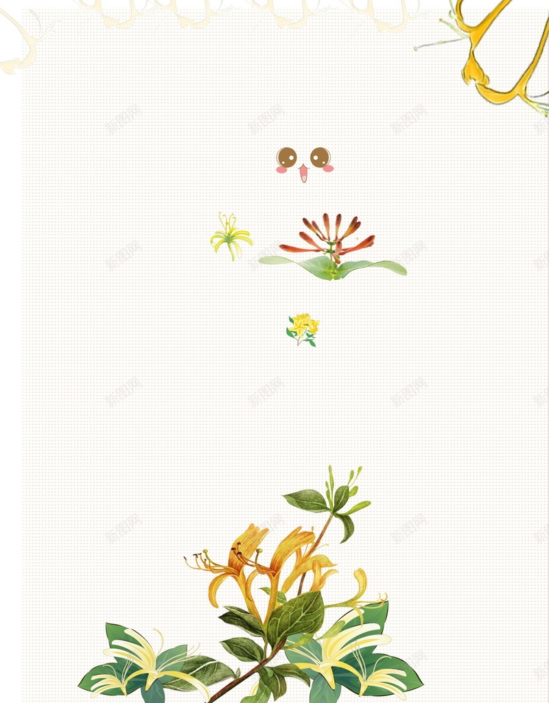 清新金银花药材花茶psd设计背景_新图网 https://ixintu.com 150PPI PSD源文件 中药养生 分层文件 平面设计 野生金银花 金银花 金银花泡茶 金银花种植 金银花茶 金银花茶叶