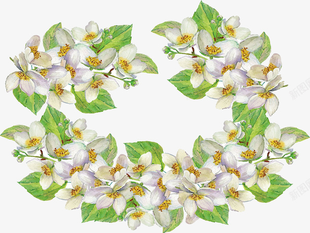 水彩手绘茉莉花矢量图ai免抠素材_新图网 https://ixintu.com 水彩植物 水彩茉莉 白色茉莉 矢量png 茉莉 茉莉花 矢量图