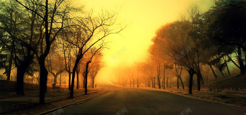温柔的阳光背景jpg设计背景_新图网 https://ixintu.com 摄影 自然 风景 阳光 丛林 海报banner