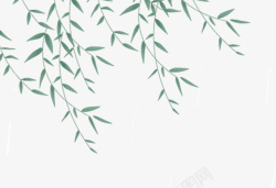 柳枝中国风手绘绿叶柳枝杨柳踏青谷雨高清图片