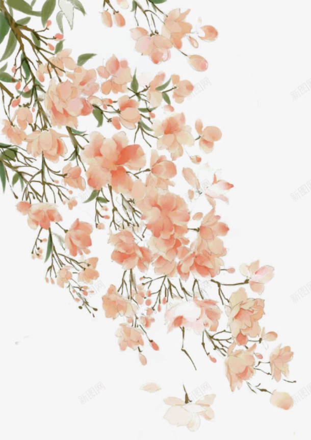 古风彩绘的花枝png免抠素材_新图网 https://ixintu.com 古风 彩绘 树枝 花朵