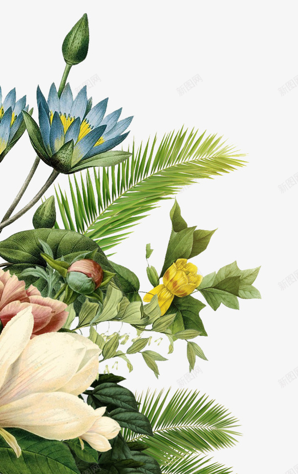 手绘门口水彩荷花莲花png免抠素材_新图网 https://ixintu.com 手绘 水彩 荷花 莲花 门口