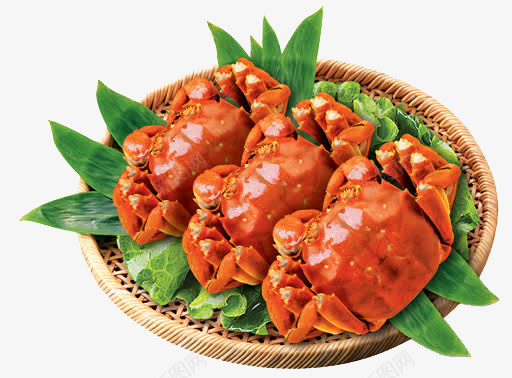 大闸蟹螃蟹中秋节食物png免抠素材_新图网 https://ixintu.com 中秋节 大闸蟹 螃蟹 食物