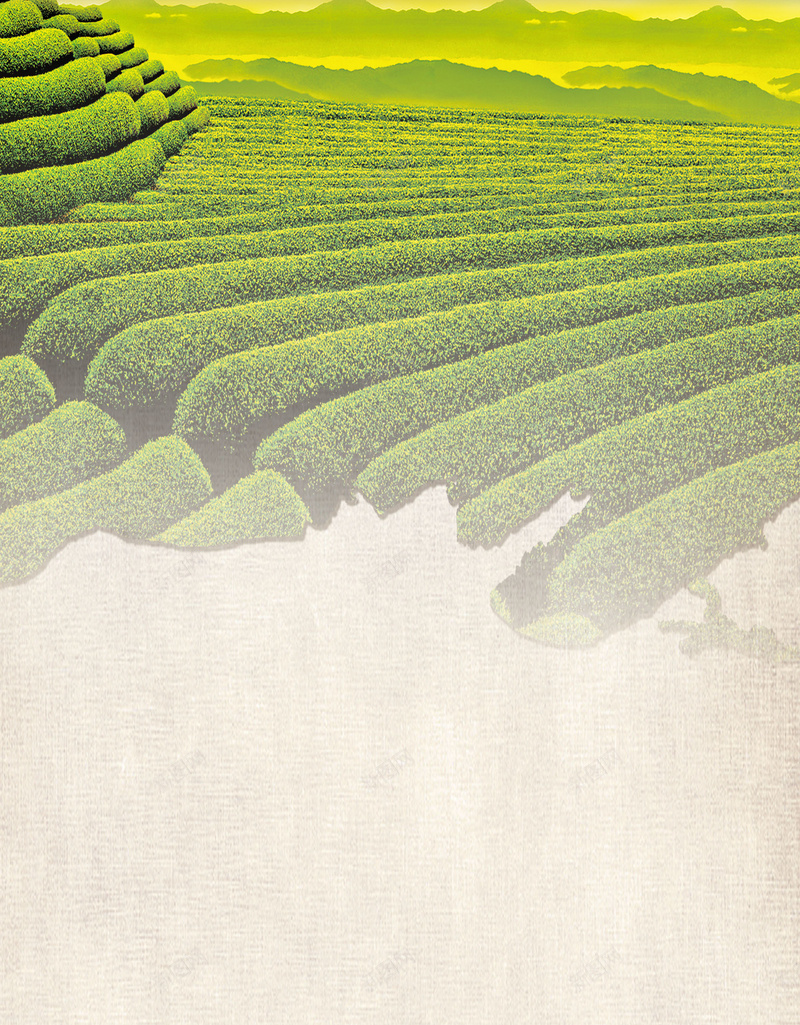 茶业批发展板背景素材psd设计背景_新图网 https://ixintu.com 茶背景 品茶 展板 批发 茶业 茶业批发展板 茶风图片下载 闻茗茶行 展板茶风