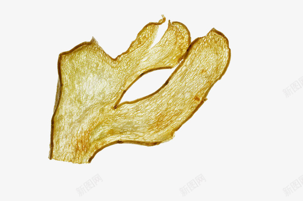 生姜片纹理png免抠素材_新图网 https://ixintu.com 烹饪 生姜 生姜切片 生姜片 生姜纹理 生姜贴 老姜
