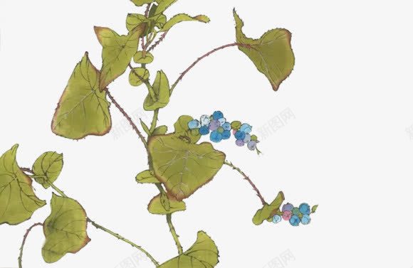 手绘绿色清新夏季植物png免抠素材_新图网 https://ixintu.com 夏季 植物 清新 绿色