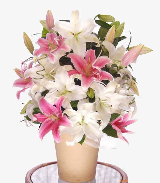 一瓶花朵装饰png免抠素材_新图网 https://ixintu.com 一瓶 花朵 装饰