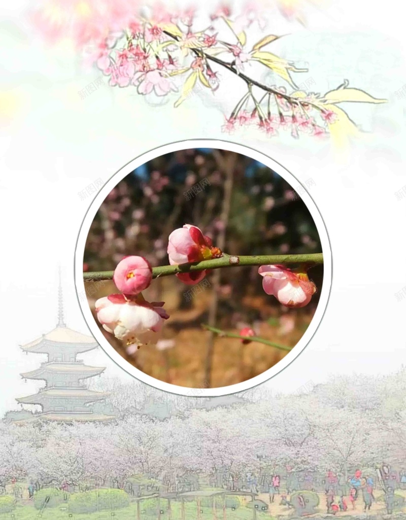 24节气惊蛰海报模板psd设计背景_新图网 https://ixintu.com 24节气 惊蛰 春天 海报 踏青 春游 传统节气 简约 鲜花