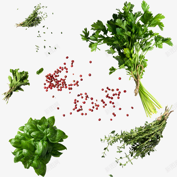 蔬菜香菜薄荷红豆png免抠素材_新图网 https://ixintu.com 爱心蔬菜 红豆 菜类图片 蔬菜 薄荷 香菜