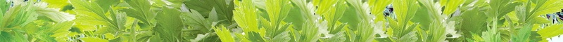 创意小青新青团寒食节海报背景psd_新图网 https://ixintu.com 寒食节 小青新 创意 节约 青团 节约粮食 分层文件 PSD源文件 高清背景 PSD素材 背景海报 背景素材 背景模板