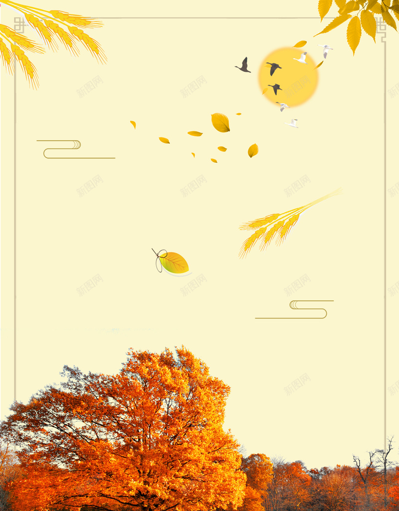 秋季换新海报背景psd设计背景_新图网 https://ixintu.com 五折起售 初秋 十月 商场 开业 打折促销 服装店 百货零售业促销海报 秋叶 秋季换新 秋季新品