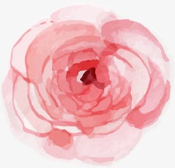 粉色手绘水彩花朵装饰素材